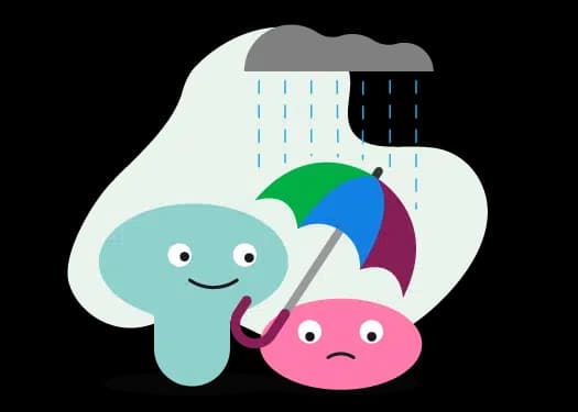 Emotional Support